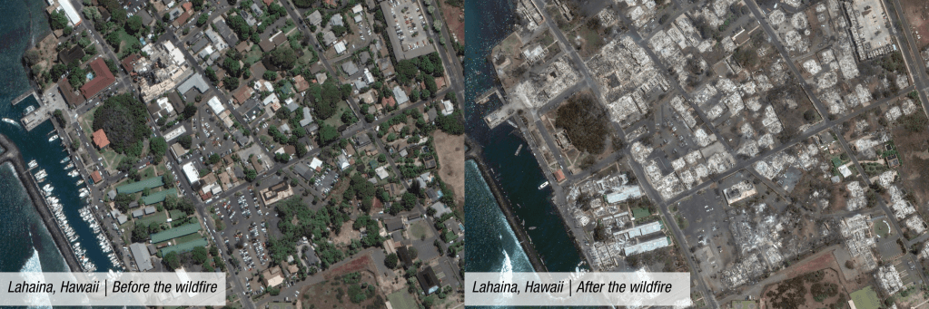 Disaster Relief Maui 23 1