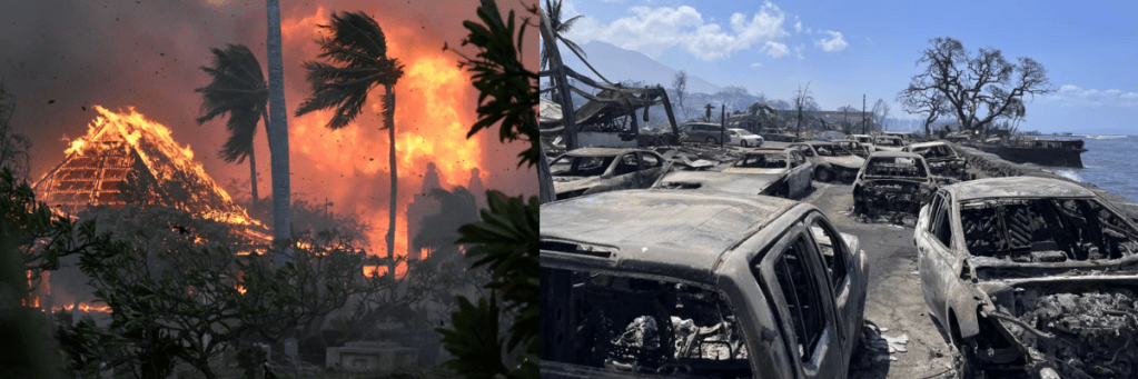 Disaster Relief Maui 23 22